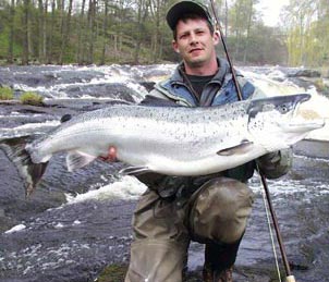 Markus Zimmer Mörrum. constantly with a large salmon, weight 15.1 kg taken in the pool 12. 2004-05-02. Image Kronolaxfisket.