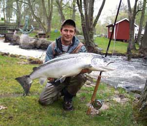 Ulf Sill Mörrum with one of all of the salmon, this was taken in the pool 12, weight 13.48 kg 2004-05-05. Foto Kronolaxfisket.