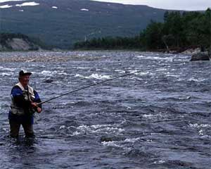 The picture is from where Repparfjordelva splits with Skaidelva, a female fly fishermen in action. photo Allan Klo