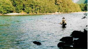 Flyfisher on Remmem Gard, the lower stretch, trying to entice a salmon to bite.