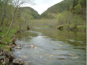Calm part of upper river.