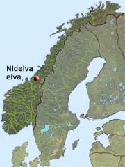 Here runs Nidelva in Trondheim
