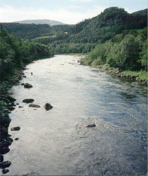 Photo of Upper Orkla between Meldal and Storås