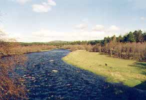 Malcolm Newbould kör fisk i Cumberlandpool, Brae Water. Foto Ian Neale.