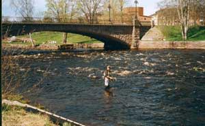 Flugfiskare provar lyckan nedanför gammelstens bron i Gavleån.