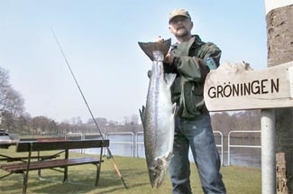 Peter Atteson with an April salmon caught on Spin fly in Lagan April 21. 2004. The salmon weigt 9,2 kilo and 95 cm long.