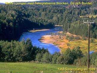 An image of the lower Ljungan with fishing stretches Stocken, island and desk. Photo: Göran Hultgren